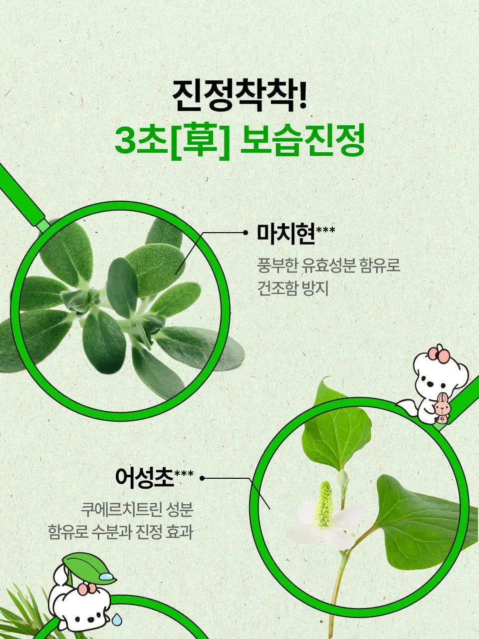[콜라보/한정기획] 아이소이 모이스춰 닥터 장수진 수분 마스크 3+1매 기획 (+스티커 증정) 상세페이지 13
